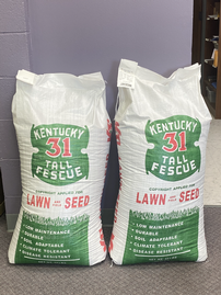 2 Bags of Fescue Seed