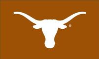 College Flag Display - University of Texas 202//121