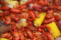 Crawfish boil for 50-75 people in the buyers home 202//135