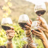 An Evening of Wine and Food with Sommelier, Jack Mason 202//202