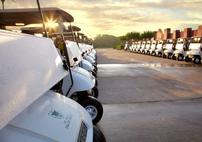 Four Rounds of Golf with Carts at The Club at Falcon Point 202//142