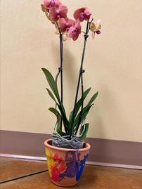 Handprint Pot with Orchid from the Seahorse Class 202//269