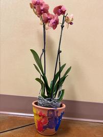 Handprint Pot with Orchid from the Seahorse Class 202//269