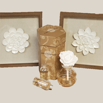Scents of Casablanca Gardenias 202//202