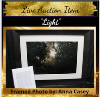 "Light" Framed by Anna Cassey 202//196