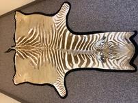 Genuine Zebra Hide Rug 202//151