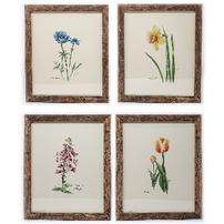 Set of four 8in x10in  botanical prints by Louisiana artist, Carmel Foret 202//202