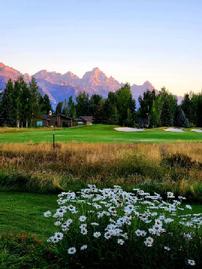 DUPLICATE-ESCAPE TO BEAUTIFUL JACKSON HOLE, WYOMING 50//0