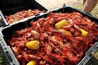 LAISSEZ LES BON TEMPS ROULER! 202//134