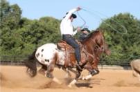 A Day of Roping with Trevor Brazile and Miles Baker 202//133