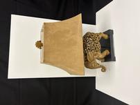 Beige Elephant Lamp with Tan Shade 202//152