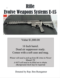 Evolved Weapons Systems E-15 202//263