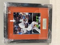 Houston Astros Yordon Alvarez Poster 202//151