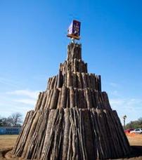 Bonfire Cut of Center Pole 202//228