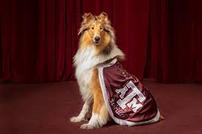 Photo Shoot with Reveille 202//134
