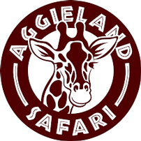 Wildlife, Grand Time & Good Food in College Station 202//202