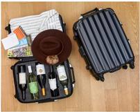 VinGardeValise Wine Travel Suitcase + Wine 202//162
