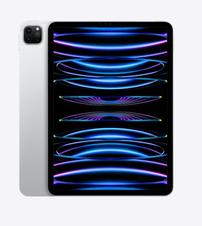 Apple iPad Pro 202//226