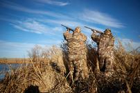Migrate South to Dove Hunt in Argentina or Urguay 202//135