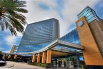 Dinner and a Show and a Luxury Stay 202//135