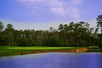 Fore the Love of Golf: Swing into Action with Triple Delight! 202//135