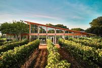 Sip, Savor, and Explore in the Texas Hill Country 202//134