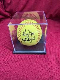 Ford Softball 202//269