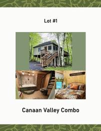 Canaan Valley Condo 202//262