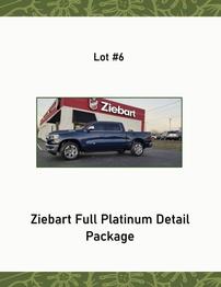 Ziebart Full Platinum Package 202//262