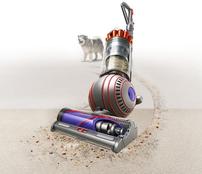 Dyson Ball Animal 3 Vacuum 202//174