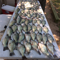Fishing Adventure for 2 with RRGS at Richland Chambers 202//202