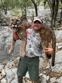 Mountain Lion Hunt 202//269