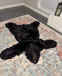 Warrior Black Bear Hunt Sponsorship 202//246