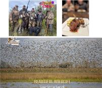 Pintail Hunting Club 202//175